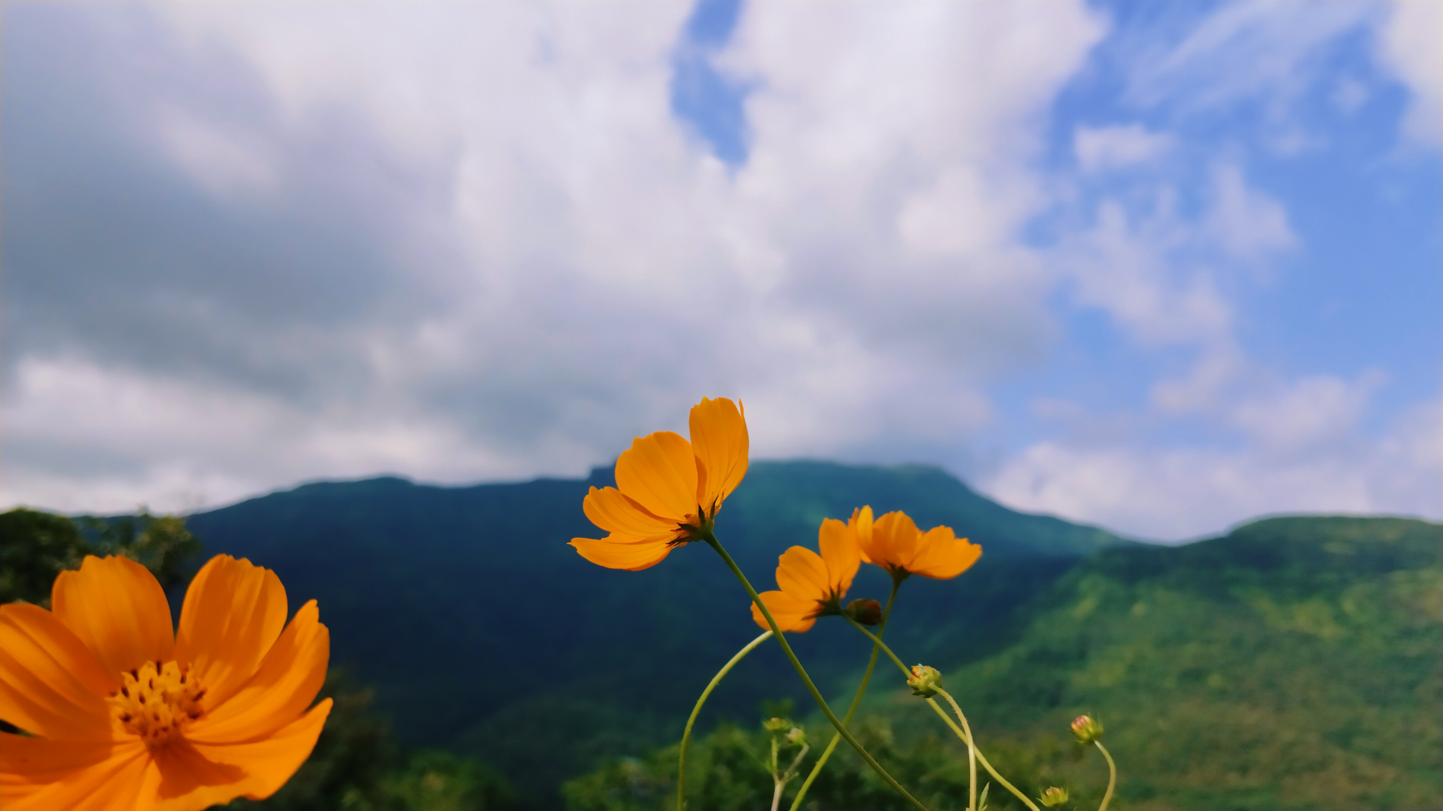 Landscape Photo 1