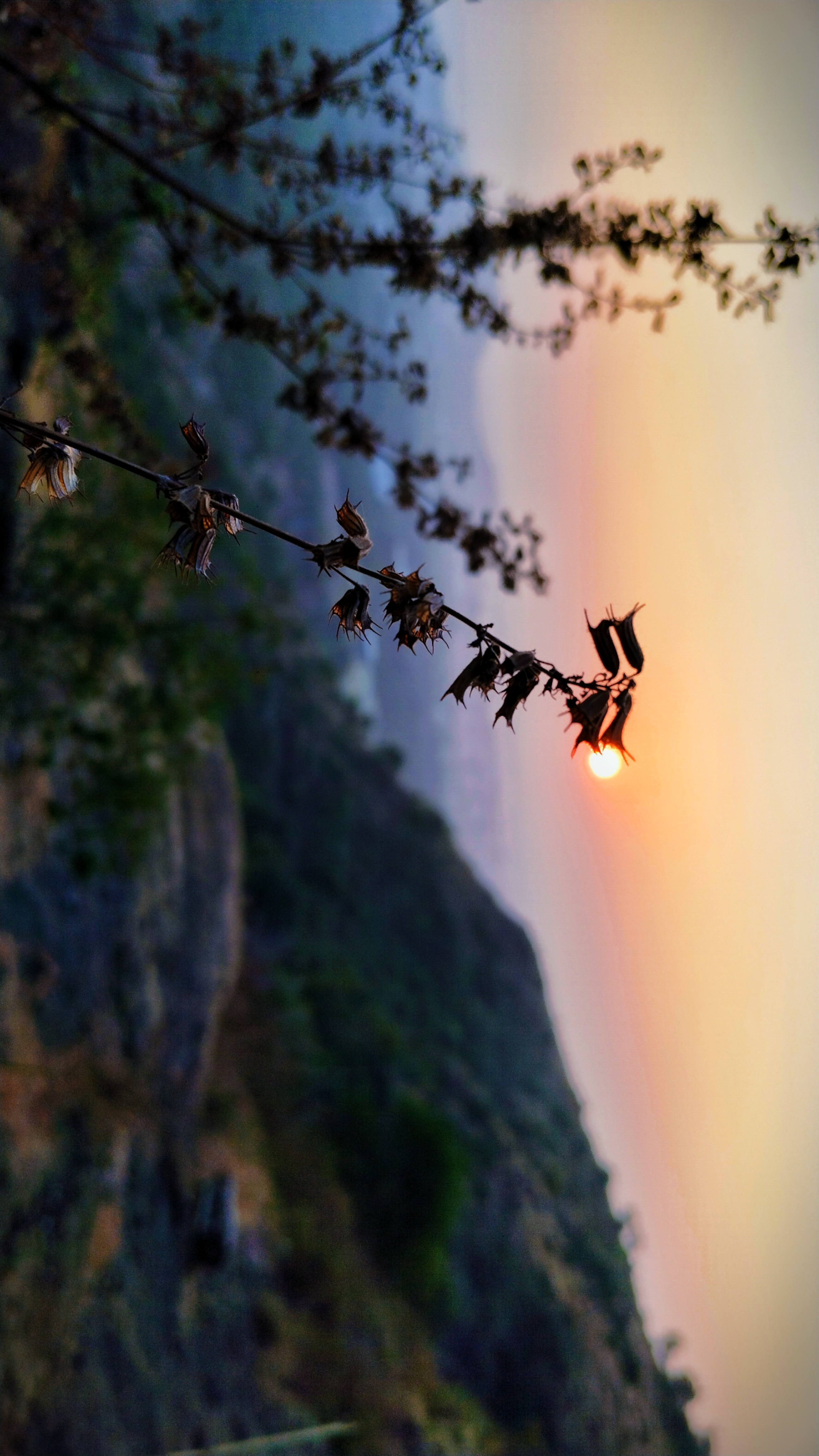 Landscape Photo 3