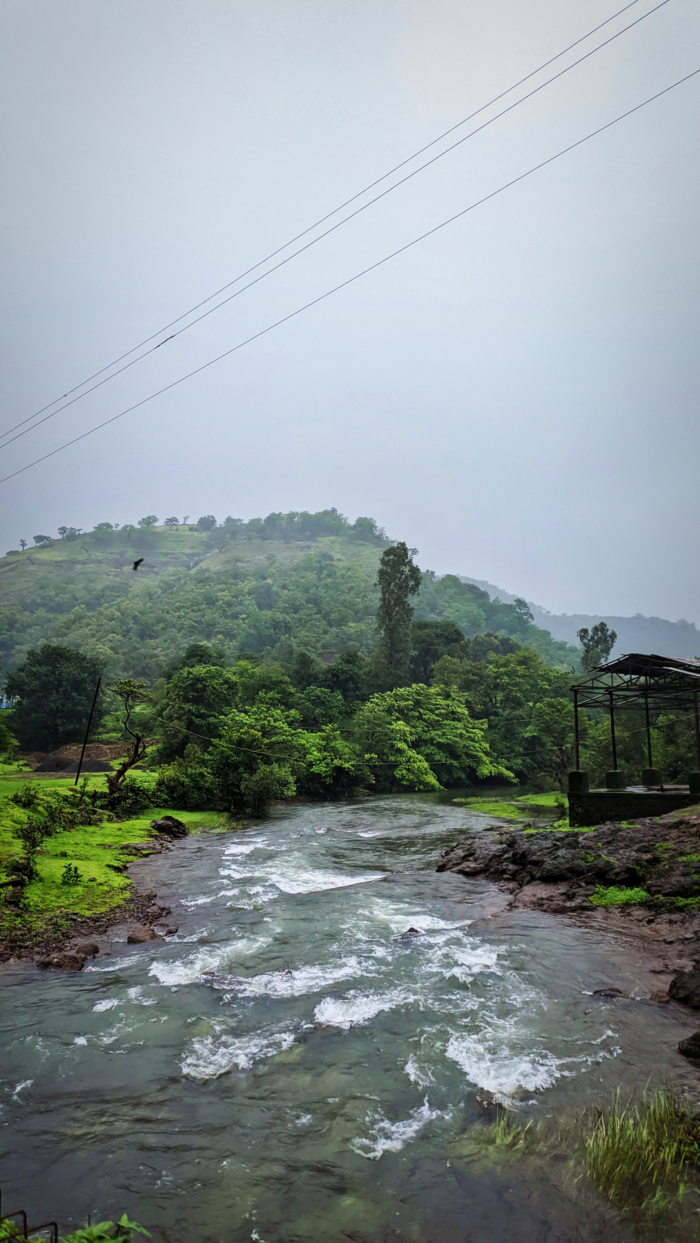 Nature Photo 1