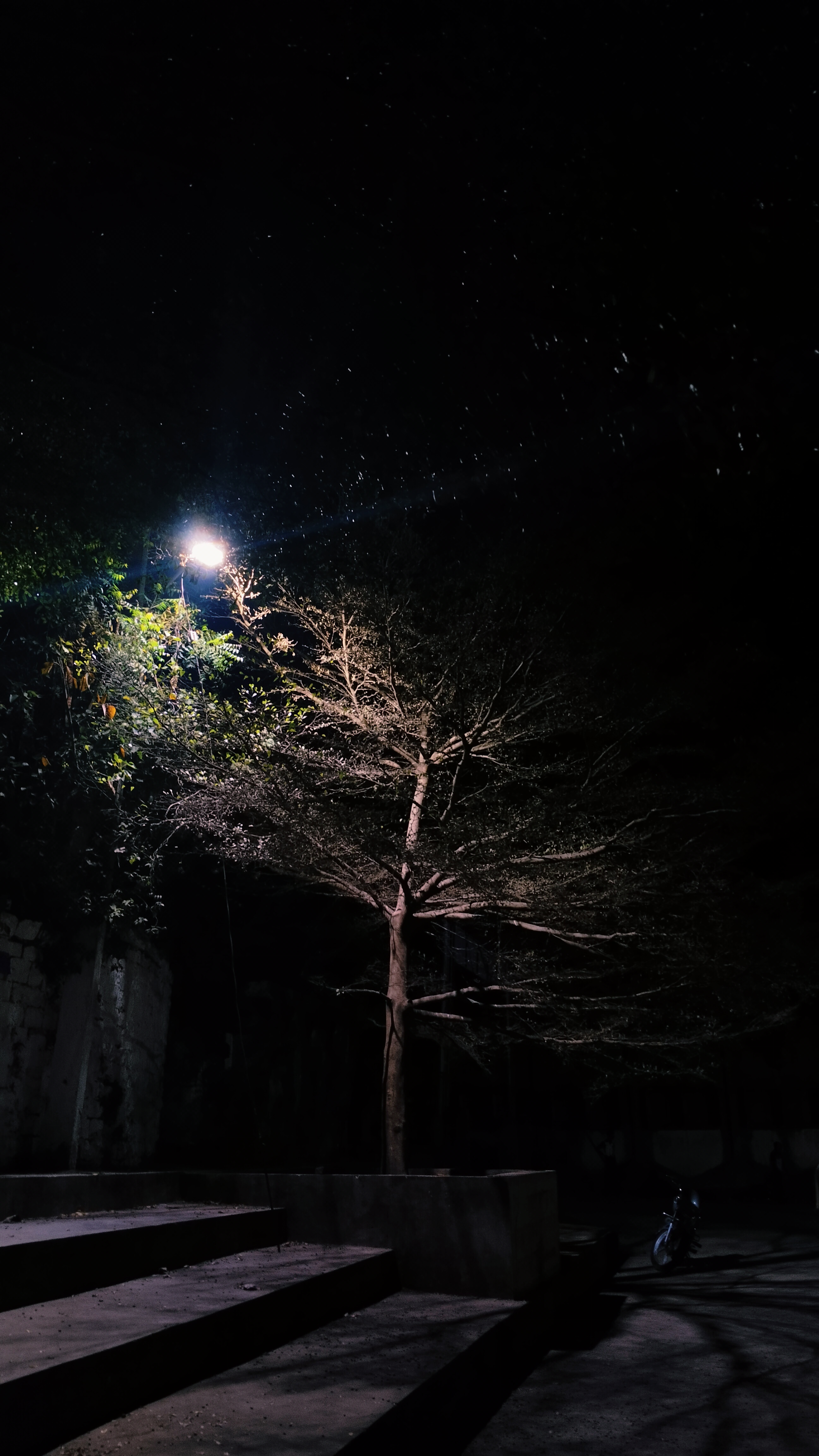 Nature Photo 2